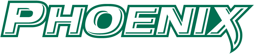 Wisconsin-Green Bay Phoenix 2011-Pres Wordmark Logo vinyl decal